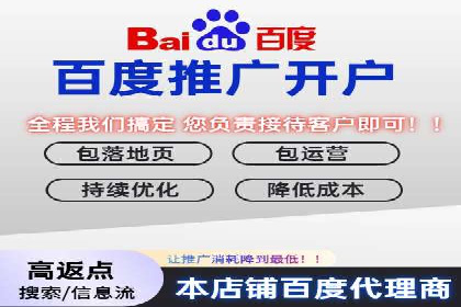 SEM竞价推广案例：打造行业领先的广告投放策略